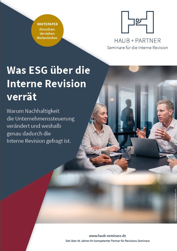 Whitepaper: Was ESG über die Interne Revision verrät